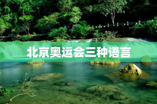 北京奥运会三种语言：汇聚世界文化的盛会
