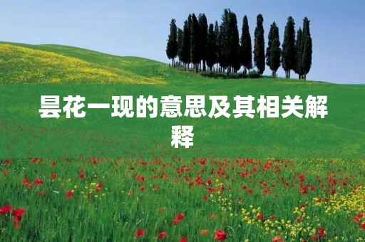 昙花一现的意思及其相关解释