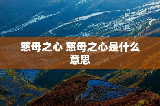 慈母之心 慈母之心是什么意思