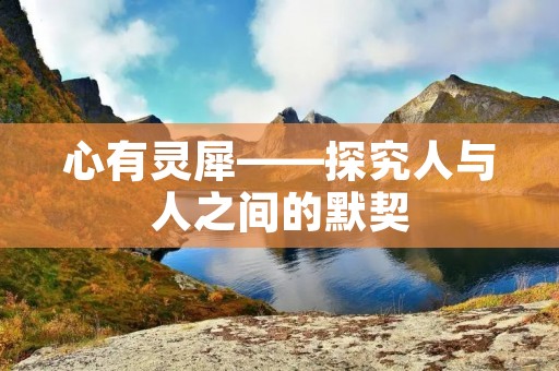 心有灵犀——探究人与人之间的默契