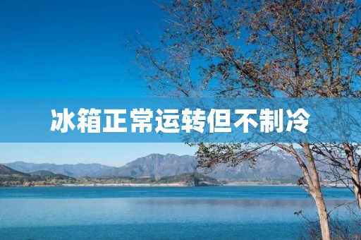 冰箱正常运转但不制冷：原因和解决办法