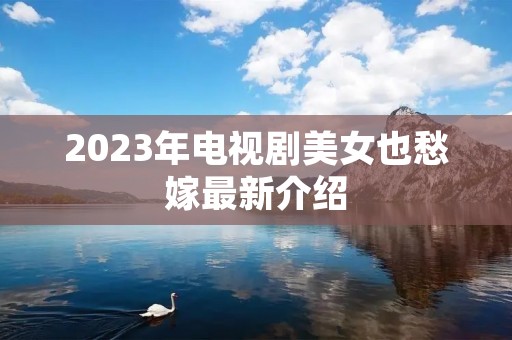 2023年电视剧美女也愁嫁最新介绍