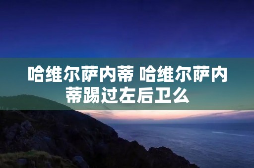 哈维尔萨内蒂 哈维尔萨内蒂踢过左后卫么 哈维尔萨内蒂 哈维尔萨内蒂踢过左后卫么