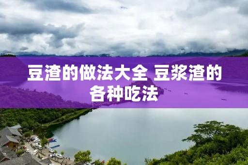 豆渣的做法大全 豆浆渣的各种吃法 豆渣的做法大全 豆浆渣的各种吃法