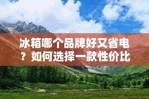 冰箱哪个品牌好又省电？如何选择一款性价比高的冰箱？