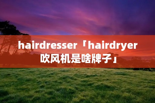 hairdresser「hairdryer吹风机是啥牌子」
