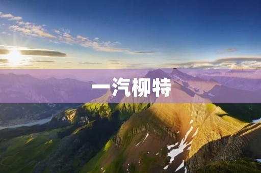 一汽柳特：以创新驱动为核心，打造智能出行新生态
