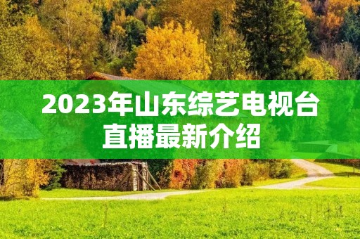 2023年山东综艺电视台直播最新介绍