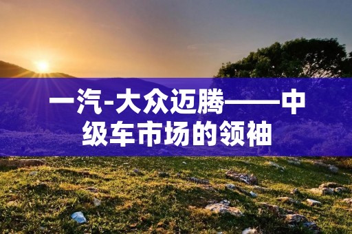 一汽-大众迈腾——中级车市场的领袖