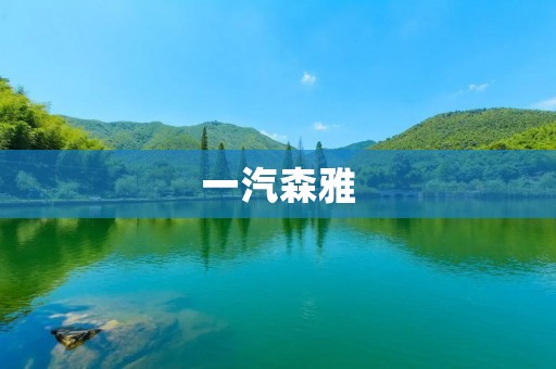 一汽森雅:中国品质之光 一汽森雅:中国品质之光