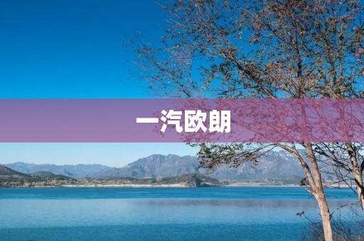 一汽欧朗:打造中国智能化家轿 一汽欧朗:打造中国智能化家轿
