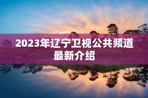 2023年辽宁卫视公共频道最新介绍