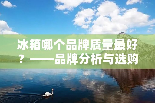 冰箱哪个品牌质量最好?——品牌分析与选购指南 冰箱哪个品牌质量最好?——品牌分析与选购指南