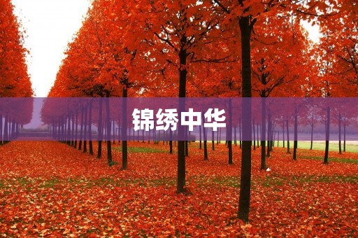 锦绣中华:中华文化的瑰宝 锦绣中华:中华文化的瑰宝