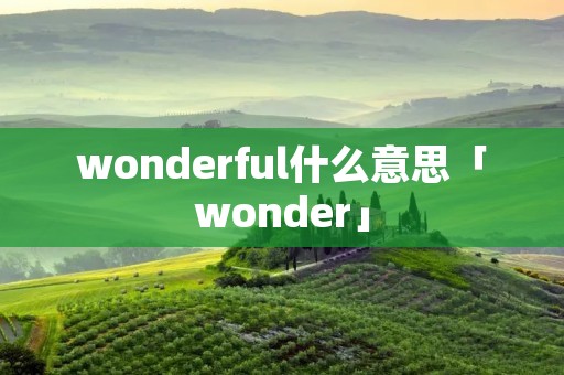 wonderful什么意思「wonder」