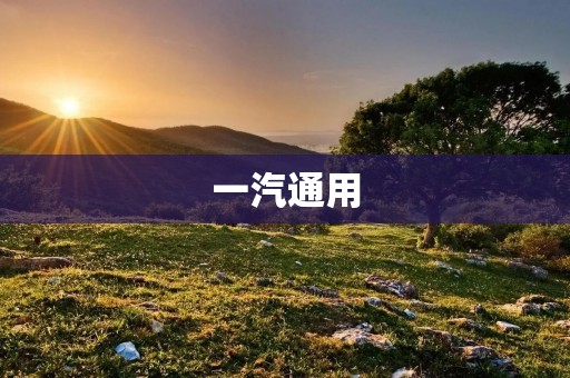 一汽通用:中国汽车行业的领军者 一汽通用:中国汽车行业的领军者