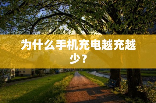 为什么手机充电越充越少?