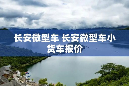 长安微型车 长安微型车小货车报价 长安微型车 长安微型车小货车报价