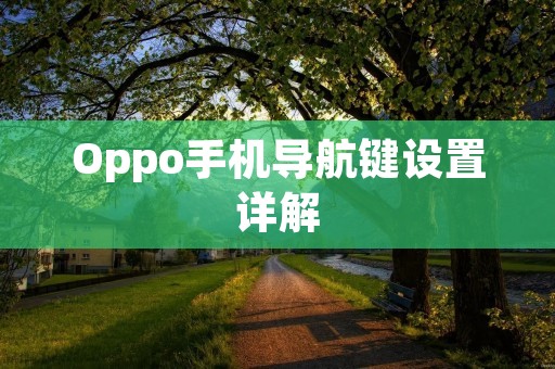 Oppo手机导航键设置详解
