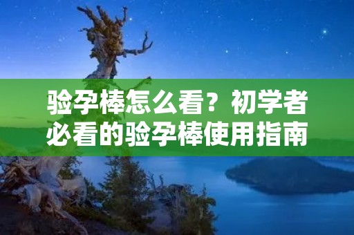 验孕棒怎么看?初学者必看的验孕棒使用指南 验孕棒怎么看?初学者必看的验孕棒使用指南