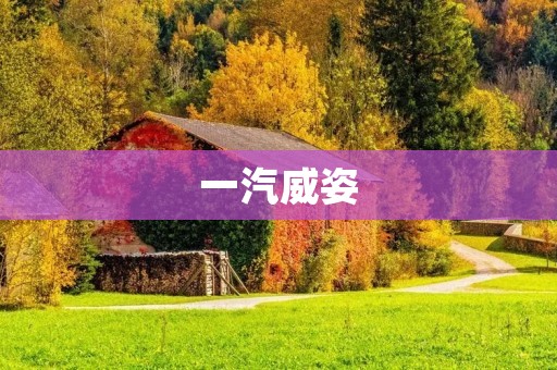 一汽威姿:向未来的豪华SUV之路 一汽威姿:向未来的豪华SUV之路