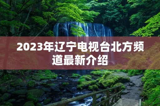 2023年辽宁电视台北方频道最新介绍 2023年辽宁电视台北方频道最新介绍