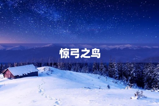 惊弓之鸟：一个关于恐惧与勇气的故事
