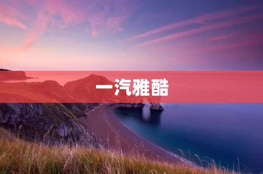 一汽雅酷：跨界SUV中的黑马