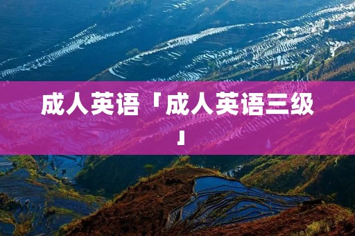 成人英语「成人英语三级」