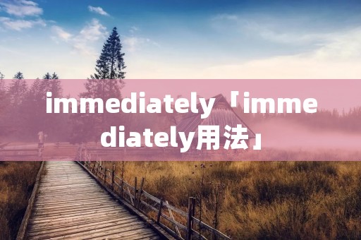 immediately「immediately用法」