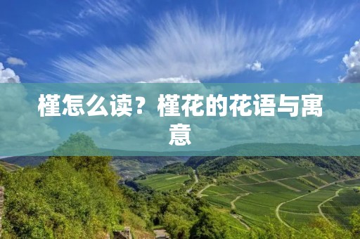 槿怎么读?槿花的花语与寓意 槿怎么读?槿花的花语与寓意