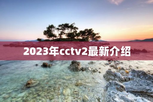 2023年cctv2最新介绍
