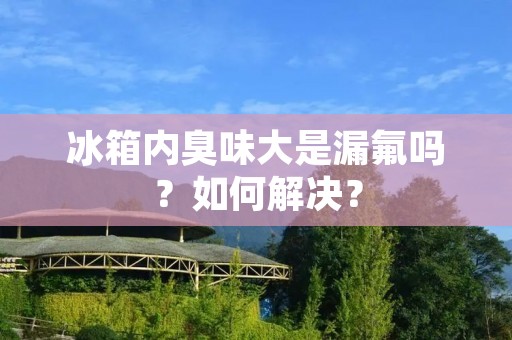 冰箱内臭味大是漏氟吗？如何解决？