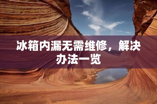 冰箱内漏无需维修，解决办法一览