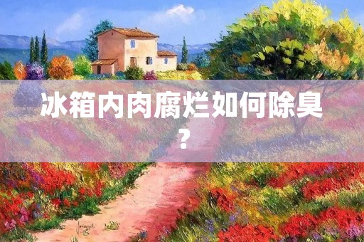 冰箱内肉腐烂如何除臭？