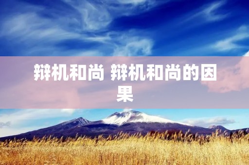 辩机和尚 辩机和尚的因果