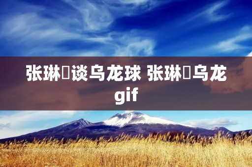 张琳芃谈乌龙球 张琳芃乌龙gif