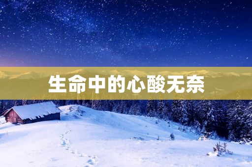 生命中的心酸无奈