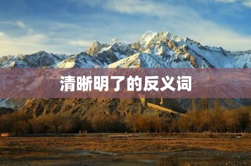 清晰明了的反义词