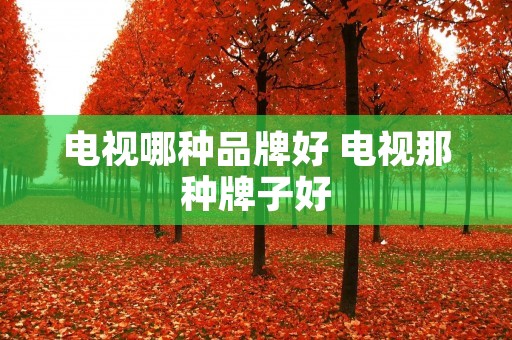 电视哪种品牌好 电视那种牌子好 电视哪种品牌好 电视那种牌子好