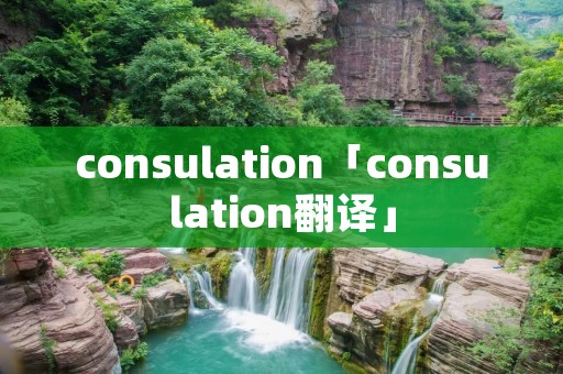 consulation「consulation翻译」