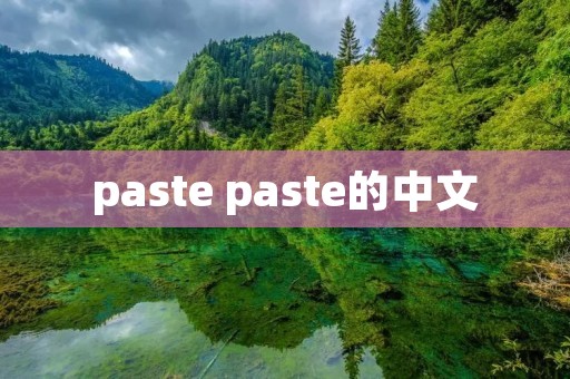 paste paste的中文