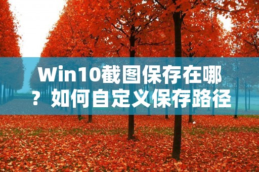 Win10截图保存在哪?如何自定义保存路径?
