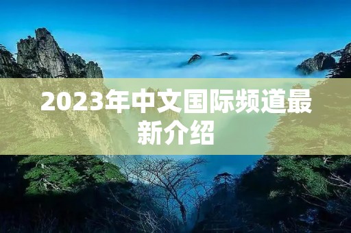 2023年中文国际频道最新介绍