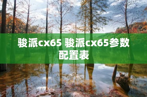 骏派cx65 骏派cx65参数配置表 骏派cx65 骏派cx65参数配置表