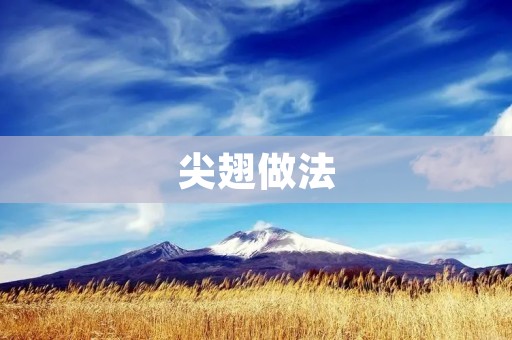 尖翅做法：让你轻松做出美味脆香的尖翅
