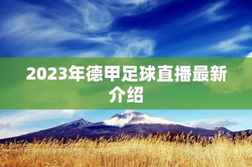 2023年德甲足球直播最新介绍 2023年德甲足球直播最新介绍