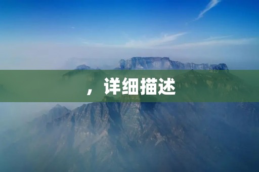 ,详细描述