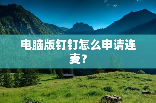 电脑版钉钉怎么申请连麦?