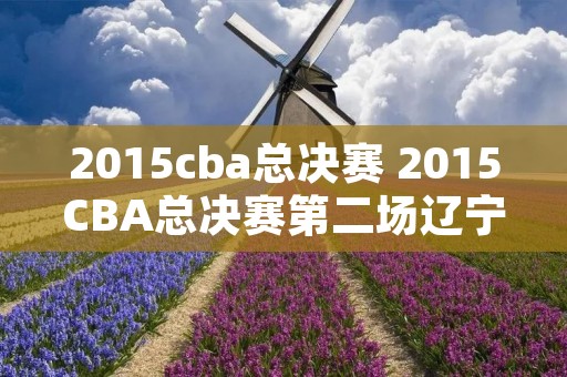 2015cba总决赛 2015CBA总决赛第二场辽宁与广东央视网